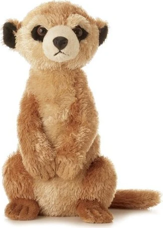 Aurora MF MEERKAT