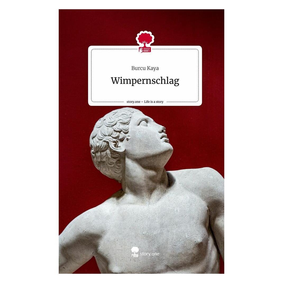 Bod Kaya:Wimpernschlag. Life is a Story - s (9783711526366)