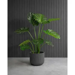Kunstpflanze mit Topf Monstera Deliciosa mit Linea Gefäß 120 cm Anthrazit