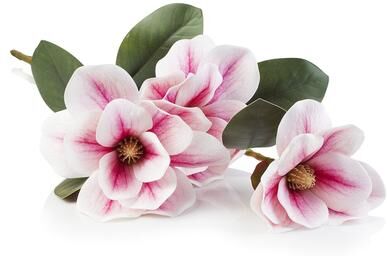 "Enova Home 18"" Artificial Nature Touch Magnolia Stem Fake Flowers for Home Decor"