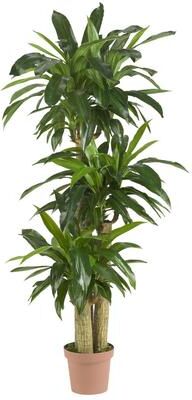 The Curated Nomad Zaius Corn Stalk Dranaena Real Touch Silk Plant - Green