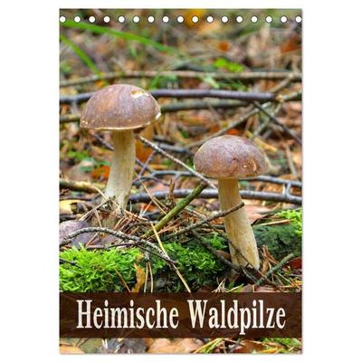 Heimische Waldpilze (Tischkalender 2026 DIN A5 hoch), CALVENDO Monatskalender