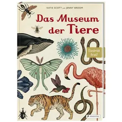 Das Museum der Tiere, Kinderbücher von Jenny Broom, Katie Scott