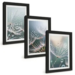BILDER SET 3er Set - 20x30 cm Schwarzer Rahmen - Wassertropfen auf Löwenzahnsprossen
