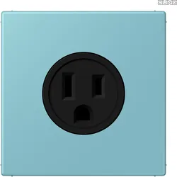 Jung LC521-15213 Steckdose US-Norm NEMA LC32032