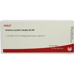 Arteria Cerebri Med Gl D 5 10 ML