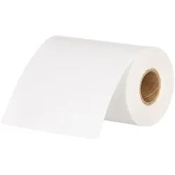 Zebra, Etikettenrolle, Label, Paper,76mmx19M,Direct (76 mm)