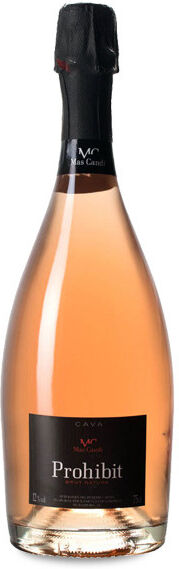 Ramon Jané Viticultor Prohibit - 75cl