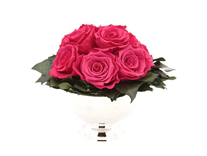 ROSEMARIE SCHULZ Heidelberg Infinity Blume in silberfarbenen Becher ewige Rose konserviert Blumenstrauß langhaltend (Magenta, 11 Rosen)