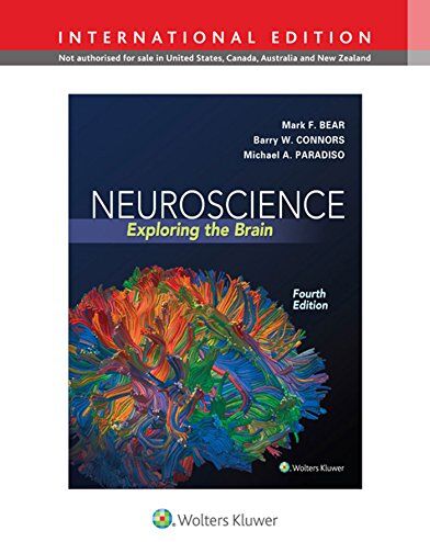 Mark Bear - Neuroscience: Exploring the Brain (International Edition) - Preis vom 30.09.2026 22:30:23 h