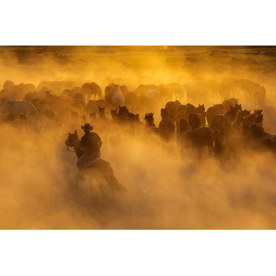 Fototapete PAPERMOON "Cowboy mit Herde", bunt, B:3m L:2,23m, Vlies, Tapeten