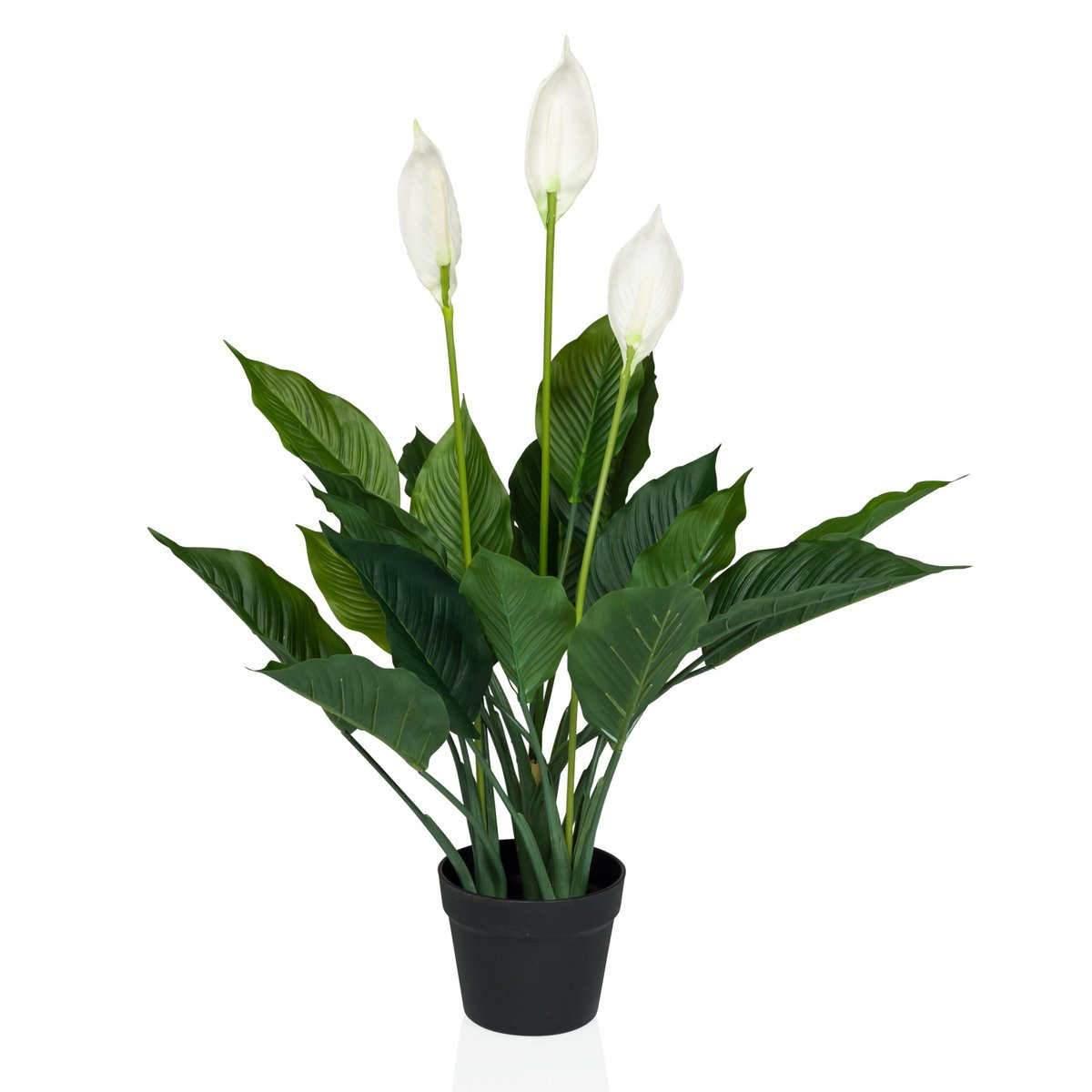 Kunstplant Spathiphyllum Groen / Wit hjh OFFICE