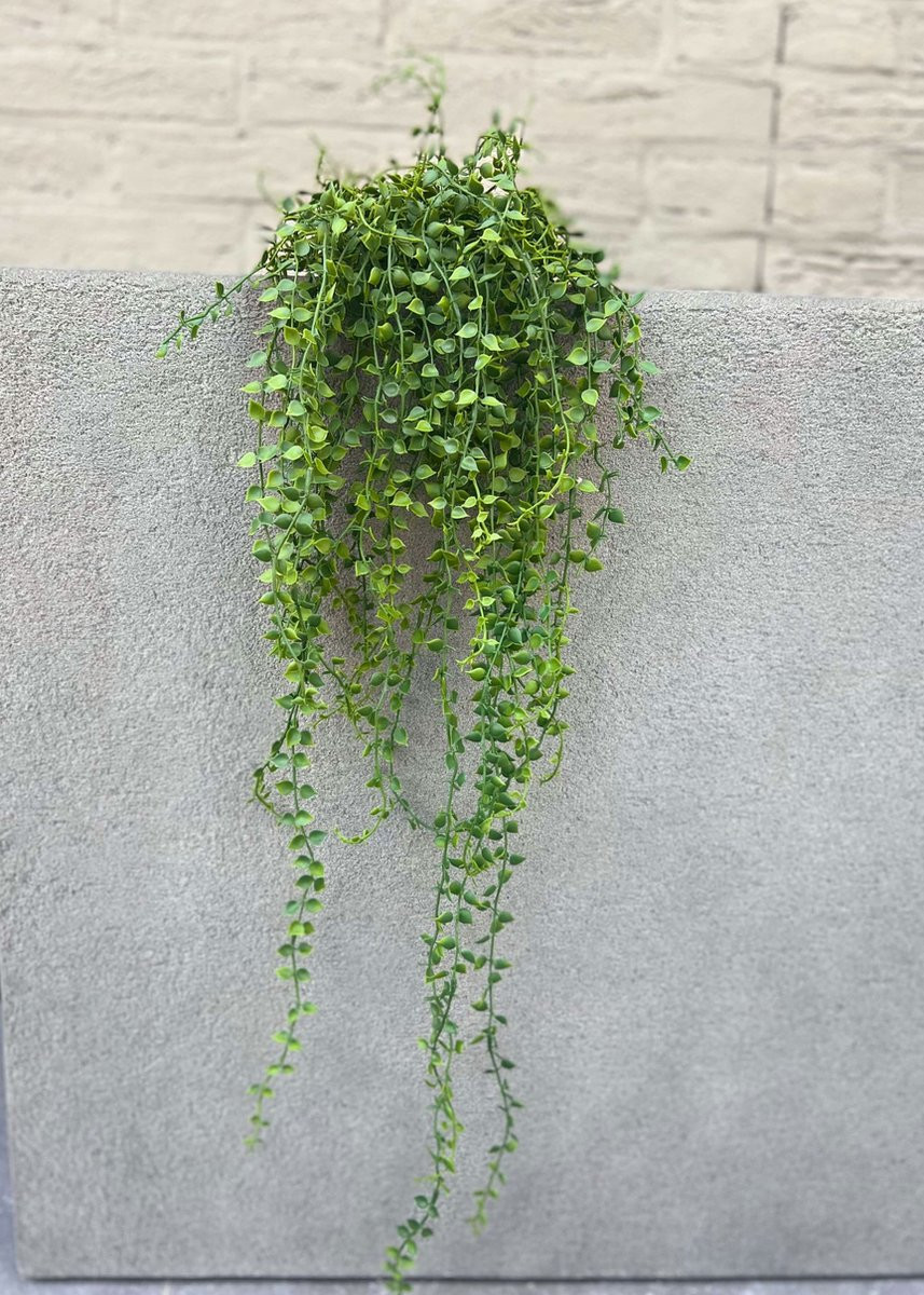 LeopoldFlora Callisia Repens Kunsthangplant - Groen - 70 cm