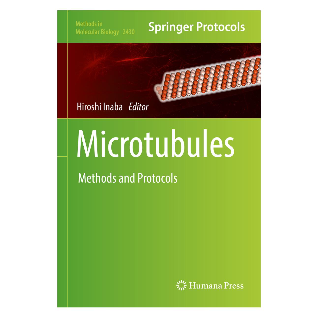 Springer Microtubules (Englisch, Hardcover, Hiroshi Inaba) (9781071619827)