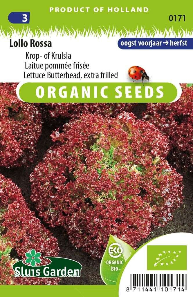 Sluis Garden Krulsla Lollo Rossa BIO zaden