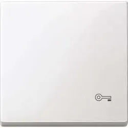 Merten Wippe Schlüssel pws/gl Wech/Kreuz/Tast/Ein. MEG3303-0319