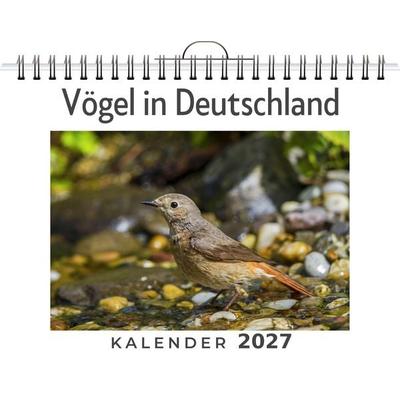 Vögel in Deutschland