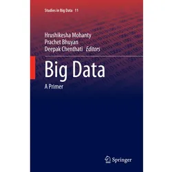 Big Data, Fachbücher