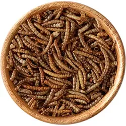 elles Mehlwürmer 500g 1x500 g