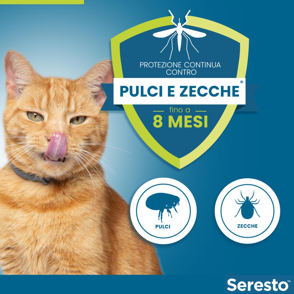 Seresto Collare Antiparassitario per Gatti 1PZ