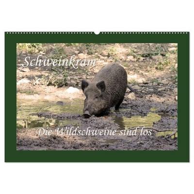Schweinkram - Die Wildschweine sind los (Wandkalender 2026 DIN A2 quer), CALVENDO Monatskalender