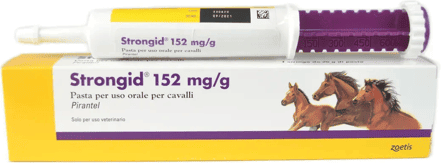 Zoetis Italia Strongid 152mg/g Pasta Orale Per Cavalli