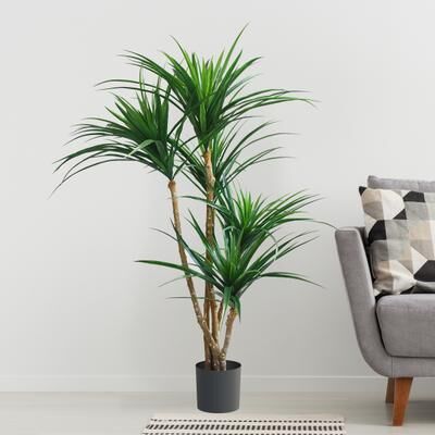 Pure 51-Inch Giant Tropical Yucca Artificial Tree UV Resistant