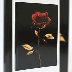 ADINA Notizbuch A4 fester Deckel Lineatur gepunktet elegante Rose