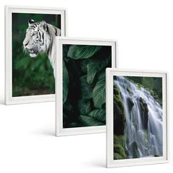 BILDER SET 3er Set - 40x60 cm Weißer Rahmen - Wasserfall aus weißen Tigerblättern