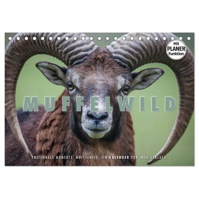 Emotionale Momente: Muffelwild. (Tischkalender 2027 DIN A5 quer), CALVENDO Monatskalender