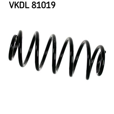 SKF Fahrwerksfeder VKDL 81019 Hinterachse für TOYOTA