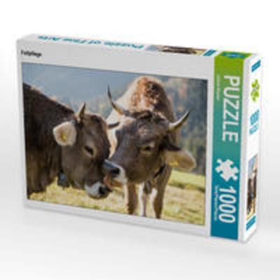 CALVENDO Puzzle Fellpflege 1000 Teile Lege-Größe 64 x 48 cm Foto-Puzzle Bild von Juliane Wandel