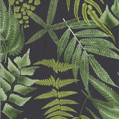 Graham & Brown Midsummer Fern Black Wallpaper
