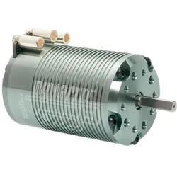 Wittmax Dynamic 8 BL Motor 1600kV