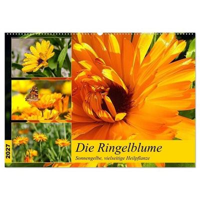Die Ringelblume. Sonnengelbe, vielseitige Heilpflanze (Wandkalender 2027 DIN A2 quer), CALVENDO Monatskalender