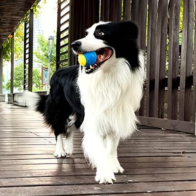 Smart Shopping Spot Durable Interactive Dog Toy Chew & Teeth Grinding Ball For Pets Durable Interactive Dog Toy Chew & Teeth Grinding Ball For Pets