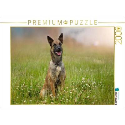 CALVENDO Puzzle Ein Motiv aus dem Kalender Traumhund Malinois | 2000 Teile Lege-Größe 90x67cm Foto-Puzzle für glückliche Stunden