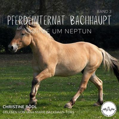 Sorge um Neptun - Christine Rödl, Audio, 4069829151702