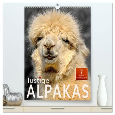 Lustige Alpakas (hochwertiger Premium Wandkalender 2026 DIN A2 hoch), Kunstdruck in Hochglanz
