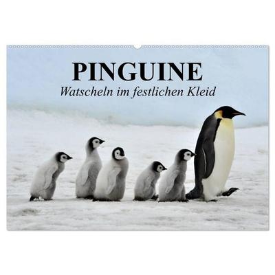 Pinguine - Watscheln im festlichen Kleid (Wandkalender 2027 DIN A2 quer), CALVENDO Monatskalender