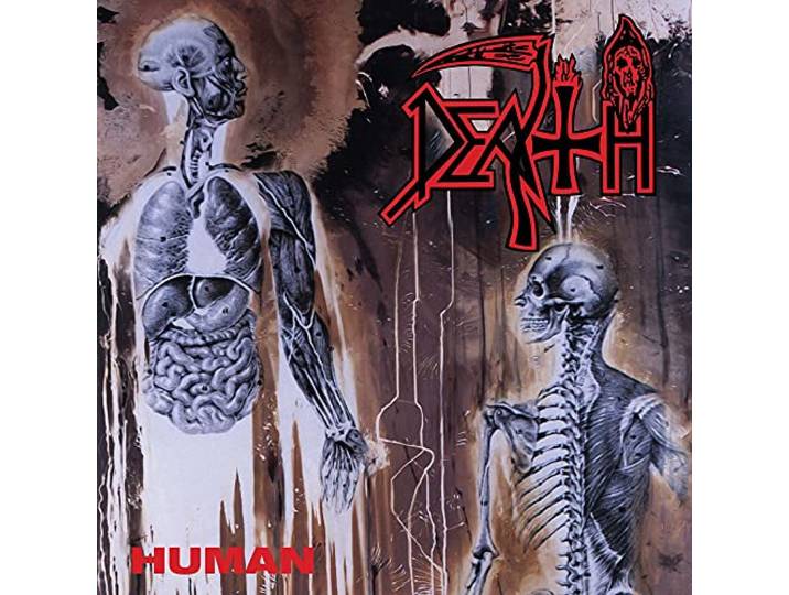 Human