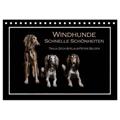 Windhunde - Schnelle Schönheiten (Tischkalender 2027 DIN A5 quer), CALVENDO Monatskalender