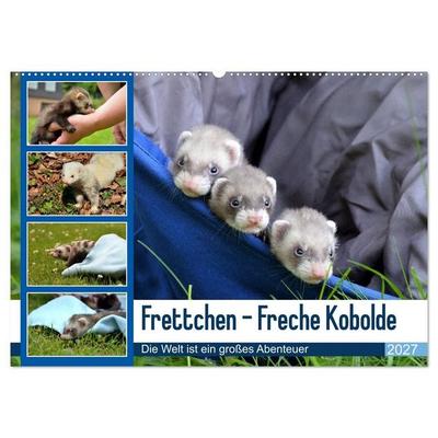 Frettchen - Freche Kobolde (Wandkalender 2027 DIN A2 quer), CALVENDO Monatskalender