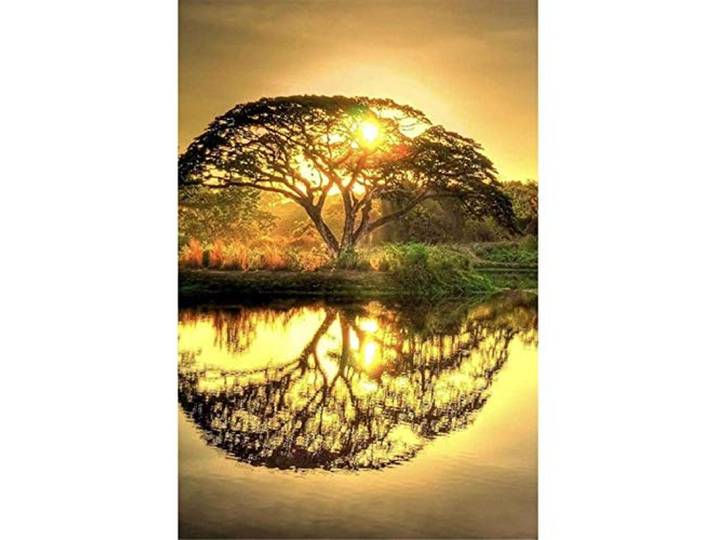 Yingxin34 5000 Teile Puzzles Puzzle Kunstsammlung Baum im Sonnenuntergang Puzzles für Erwachsene DIY Artwork Decor Geschenke-61.61x41.53 Zoll (156.5 x 105.5cm)
