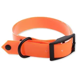 Martin Sellier Fluoreszierendes Hundehalsband für die Jagd (25, Hund), Halsband + Leine