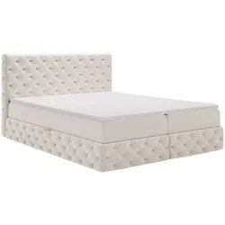 BOXBETT Canolo 180x200 Cremige