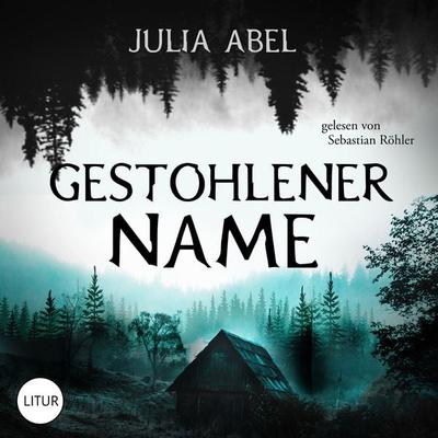 Gestohlener Name - Julia Abel, Audio, 4069828113282
