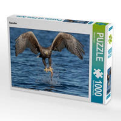 CALVENDO Puzzle Seeadler | 1000 Teile Lege-Größe 64x48cm Foto-Puzzle für glückliche Stunden