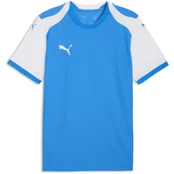 Puma, Herren, Sportshirt, teamFINAL26 Knit Jersey (XXL), Blau