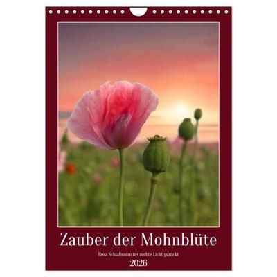 Zauber der Mohnblüte (Wandkalender 2026 DIN A4 hoch), CALVENDO Monatskalender